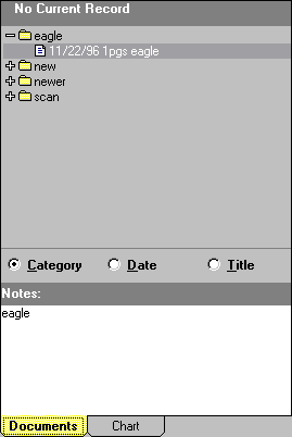 Document Outline window